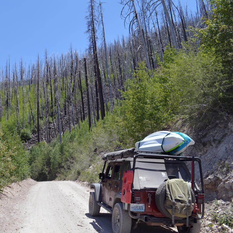 RBO-Adventures Jeep on Forest Service road in Lincoln National Forest
