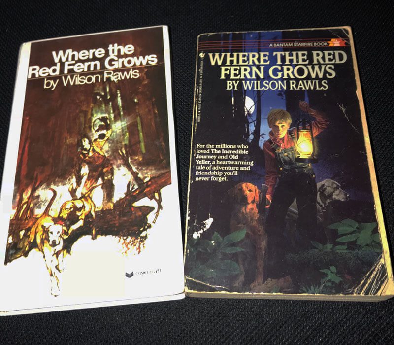 Remembering Why I Write and Share Stories