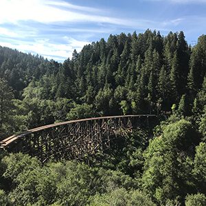 Bridge in Lincoln National Forest
