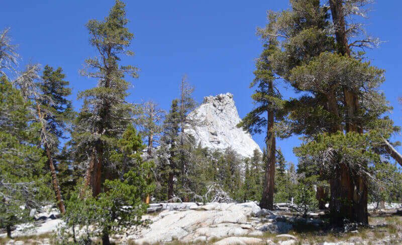 A Brief Adventure on the John Muir Trail Days 4 and 5 View of a mountain top between the trees