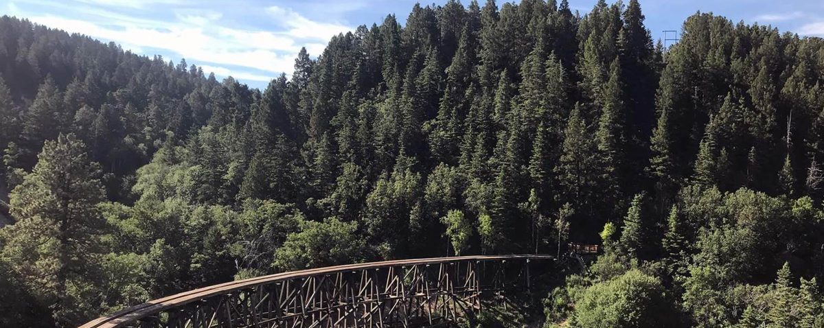 lincoln-national-forest-header Bridge in Lincoln National Forest New Mexico